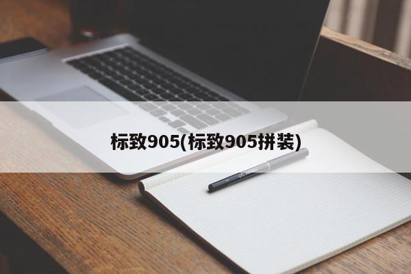 标致905(标致905拼装)